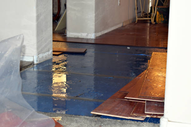 Professional Burst Pipe Water Damage technician working in Jeddo, MI
